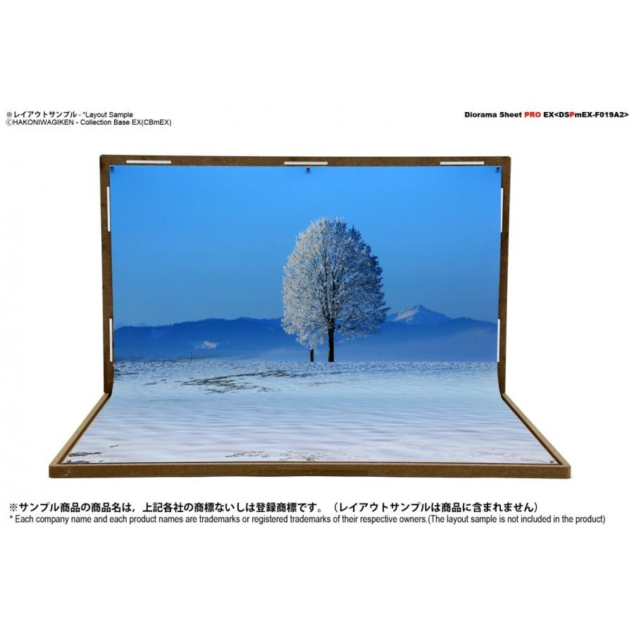 ジオラマシートpro Ex 冬a2 雪原 幅364x長さ500mm 片面印刷 1枚 撮影用背景 Dspmex F019a2 箱庭技研 通販 Yahoo ショッピング