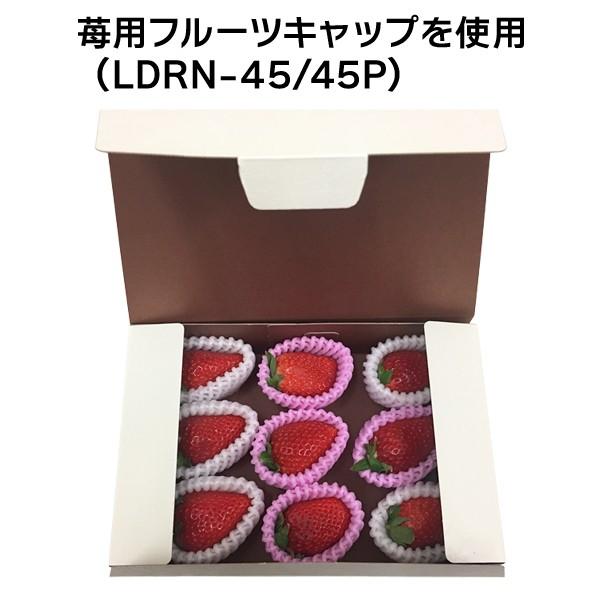 ギフトボックス)和包大/200枚入(19-197) : 箱の店 - 通販 ギフトボックス)和包大/200枚入(19-197) : 箱の店 - 通販