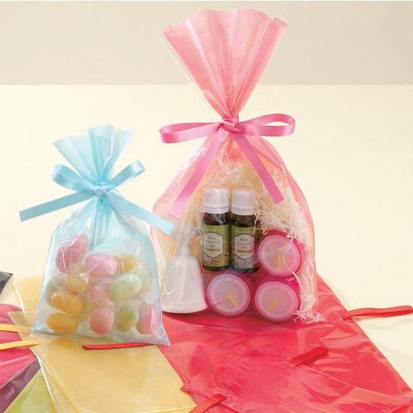 不織布巾着袋）ソフトバッグクリア2穴巾着 S/100枚入（ALS-163） : 箱