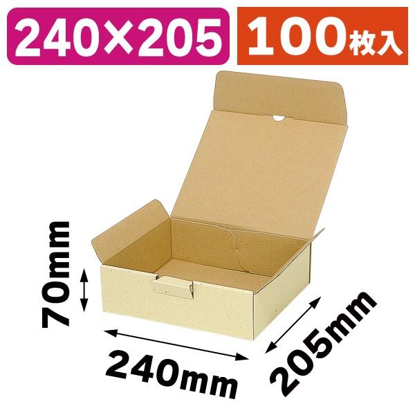 宅配用ギフトボックス 100枚入（EE-132）