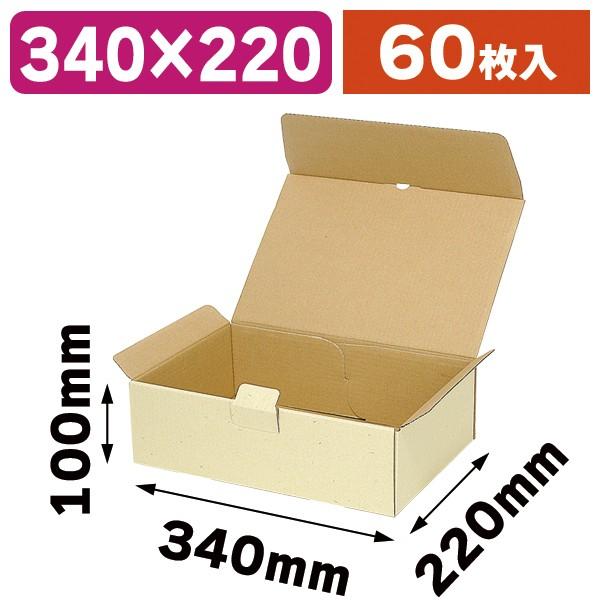 宅配用ギフトボックス 60枚入（EE-153）