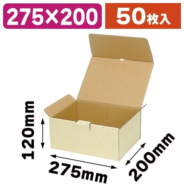 宅配用ギフトボックス 50枚入（EE-161）