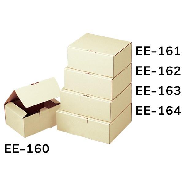 宅配用ギフトボックス 50枚入（EE-161）_2