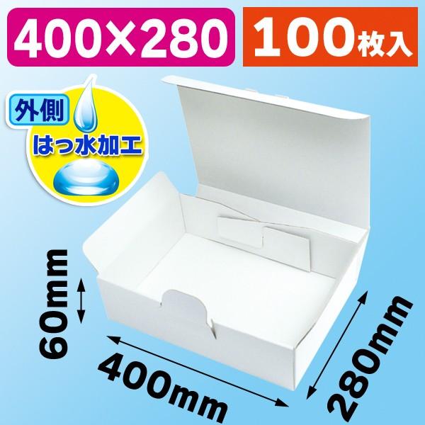 はっ水宅配箱100枚入（EE-66W）