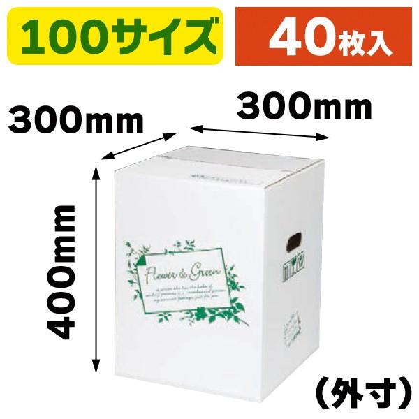 （花の宅配箱）フラワー&グリーン ホワイト 100サイズL/40枚入（F-501W）｜hakonomise
