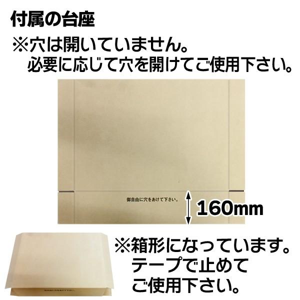 花の宅配箱）フラワー&グリーン 胡蝶蘭L/5枚入（F-513） : 箱の
