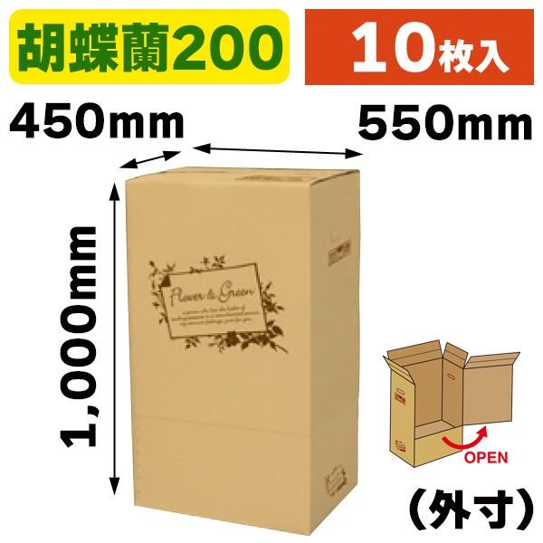 花の宅配箱）フラワー&グリーン 胡蝶蘭200/10枚入（F-516） : 箱の店