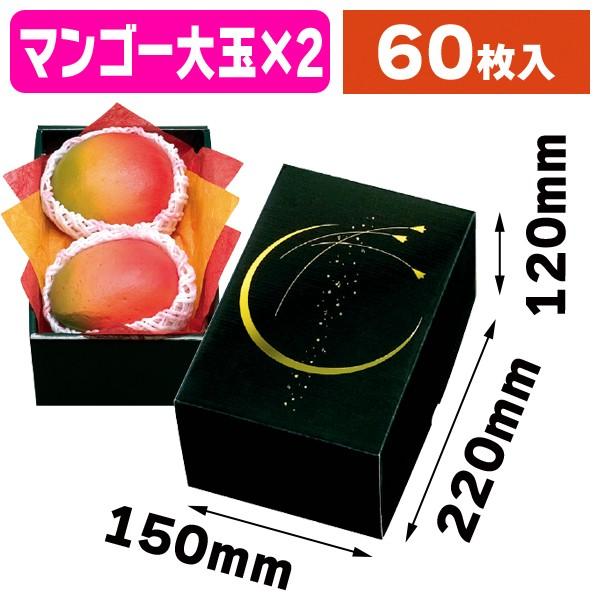 青マンゴー (アーウィン) 箱込み20キロ 果物 