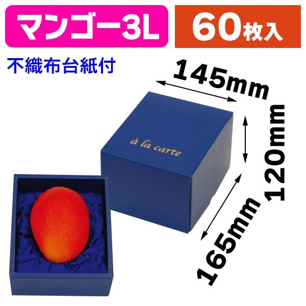 青マンゴー (アーウィン) 箱込み20キロ 果物 