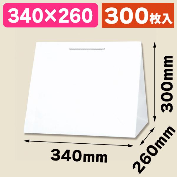 （角底手提袋）T型チャームバッグ W3 晒白無地/300枚入（K05-4901755339499-3H）