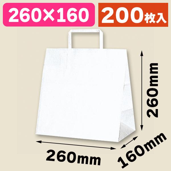 （角底手提袋）H25チャームバッグ E判 白無地/200枚入（K05-4901755352818-2H）