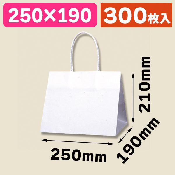 （角底手提袋）Pスムースバッグ 25-19 白無地/300枚入（K05-4901755358827-3H）