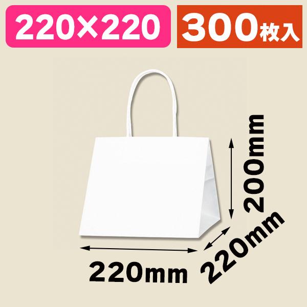 （角底手提袋）Pスムースバッグ 22-22 白無地/300枚入（K05-4901755358940-3H）