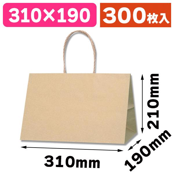 （角底手提袋）Pスムースバッグ 31-19 未晒無地/300枚入（K05-4901755358964-3H）