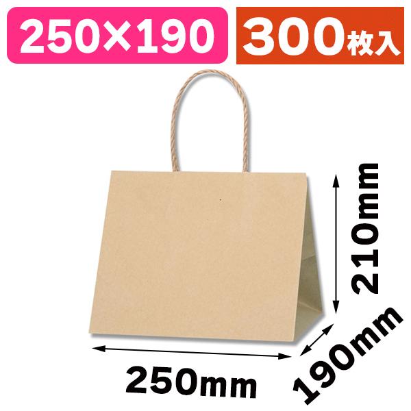 （角底手提袋）Pスムースバッグ 25-19 未晒無地/300枚入（K05-4901755358971-3H）