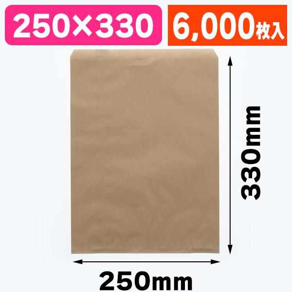（平袋）柄小袋 R-10 未晒無地/6000枚入（K05-4901755368413-6S）