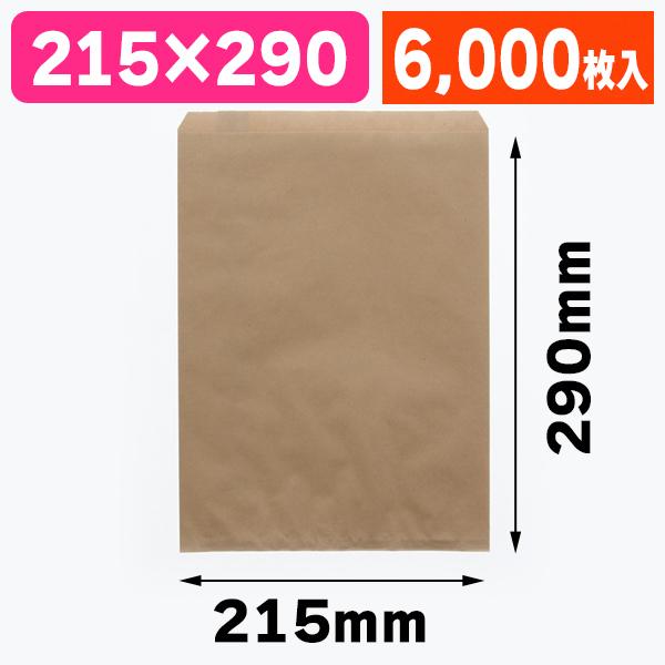 （平袋）柄小袋 R-20 未晒無地/6000枚入（K05-4901755368420-6S）