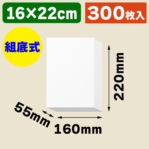 （ギフトボックス）白無地箱 H-52 サック式/300枚入（K05-4901755700831-3H）