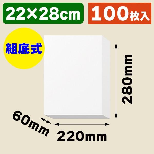 （ギフトボックス）白無地箱 H-56 サック式/100枚入（K05-4901755700879）