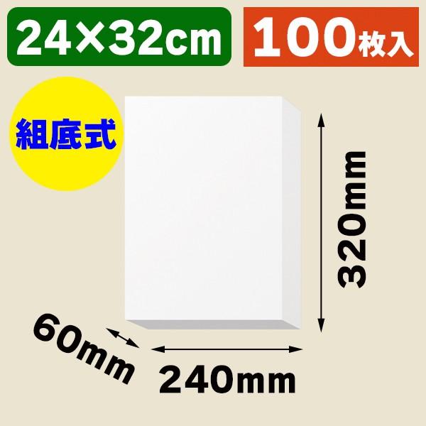 （ギフトボックス）白無地箱 H-58 サック式/100枚入（K05-4901755700893）