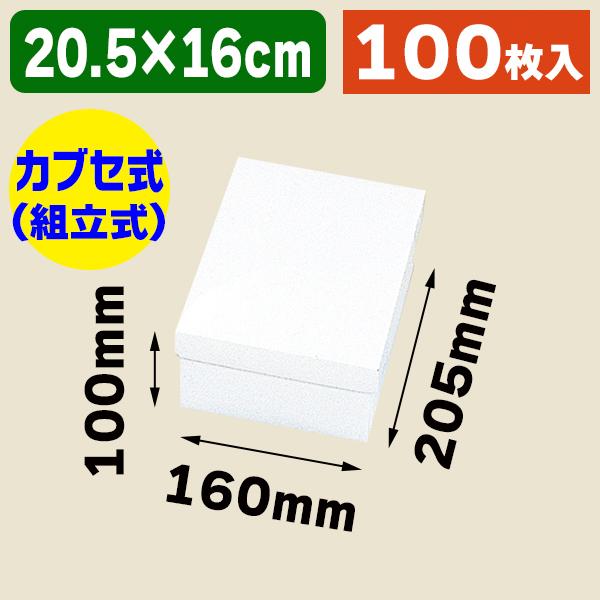 （ギフトボックス）白無地箱 B-2 エスプリ/100枚入（K05-4901755715781-1H）