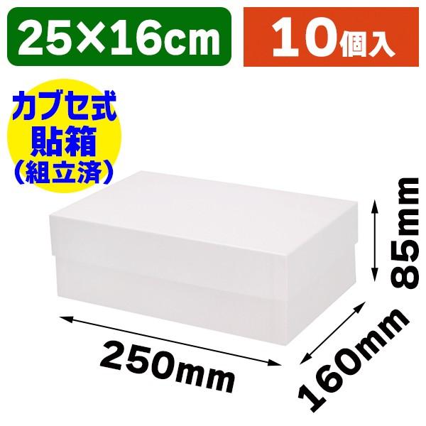 （ギフトボックス）貼箱 No.5 スノー/10個入（K05-4901755726565）
