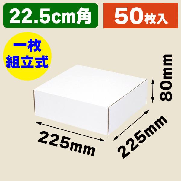 小型段ボール箱）フリーBOX F-19/50枚入（K05-4901755729337-5J） 売れ筋