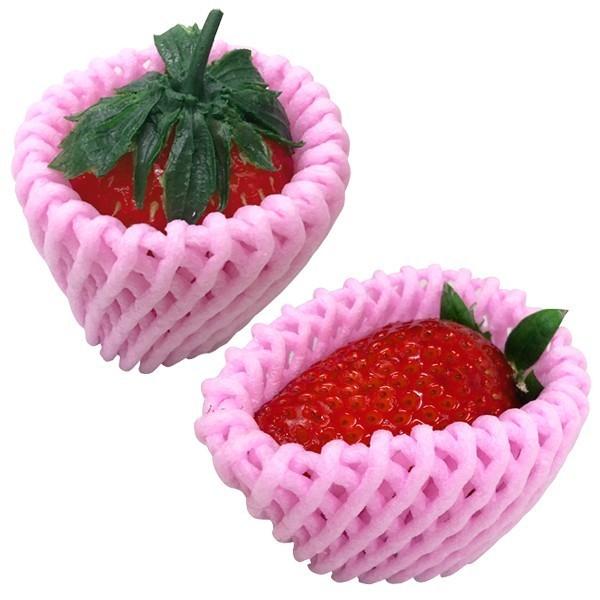 いちごさん専用 イチゴさん専用 いちご容器 ｜ 光洋産業株式会社