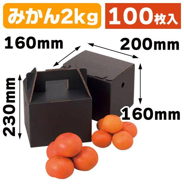 （果物の箱）美果2kg/100枚入（L-2061）