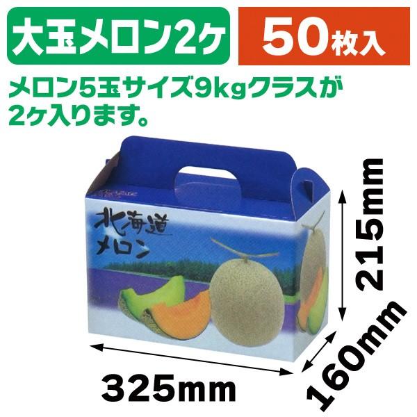 （メロンの箱）北海道メロン2ヶ入/50枚入（L-2085）