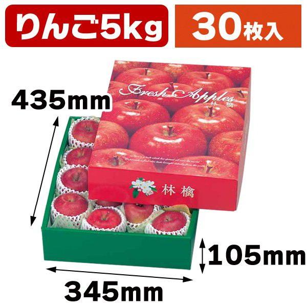 （りんごの箱）フレッシュアップル5kg/30枚入（L-2092）