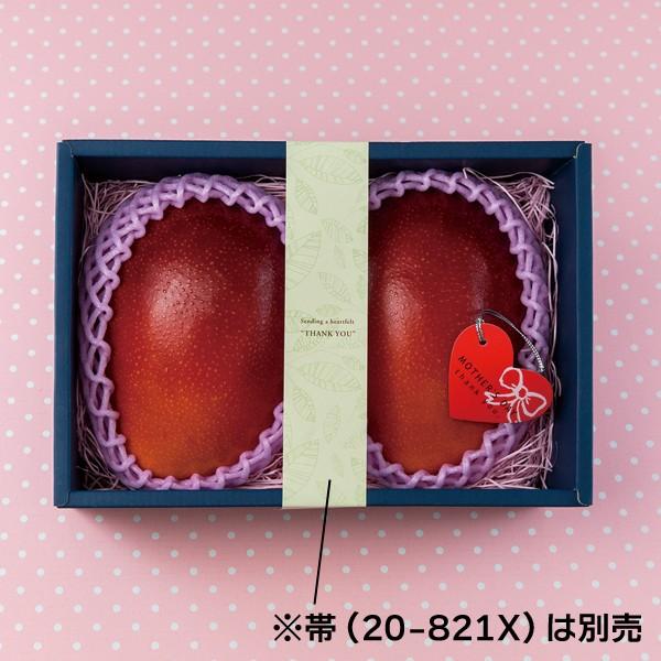 マンゴー2個 ヤマニパッケージ マンゴー2ヶネイビー(100入) L-2238 | 資材の