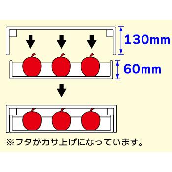 （果物の箱）グロス白紙トレー3L 2ヶ箱/40枚入（L-2303）｜hakonomise｜02