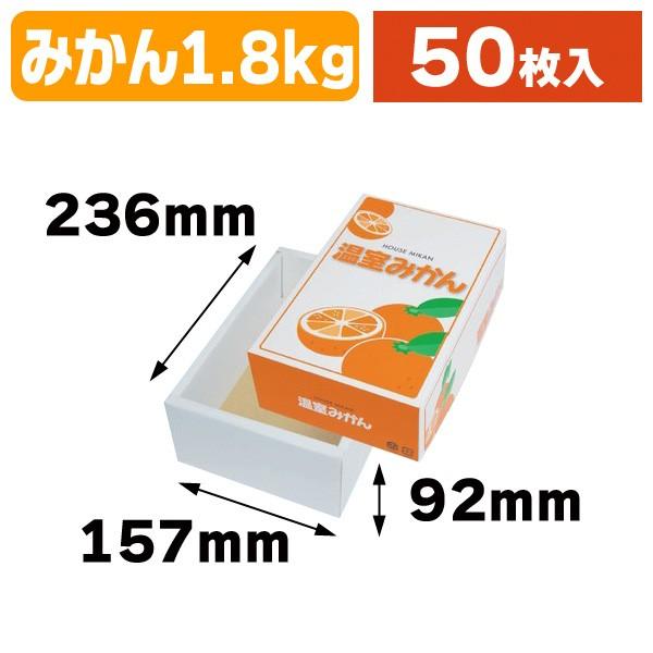 （みかんの箱）温室みかん 1.8kg/50枚入（L-2330）