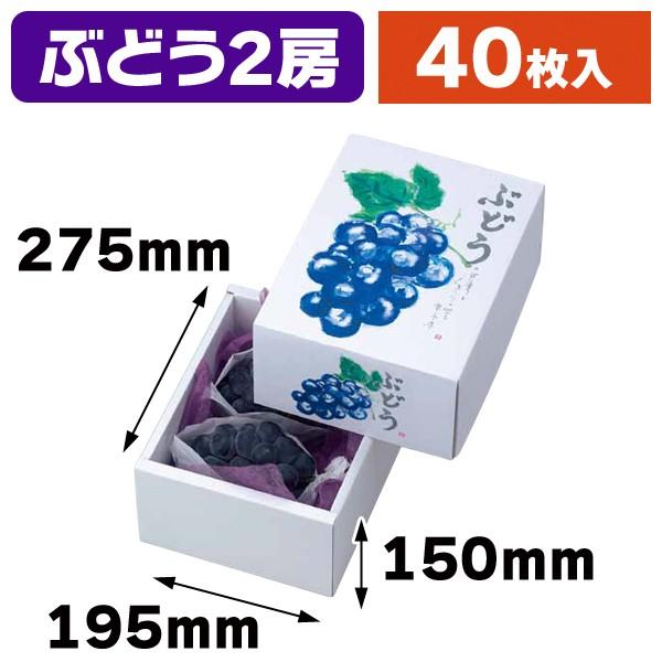 （宅送・ぶどう箱）もぎたてのぶどう 150H/40枚入（L-2388）