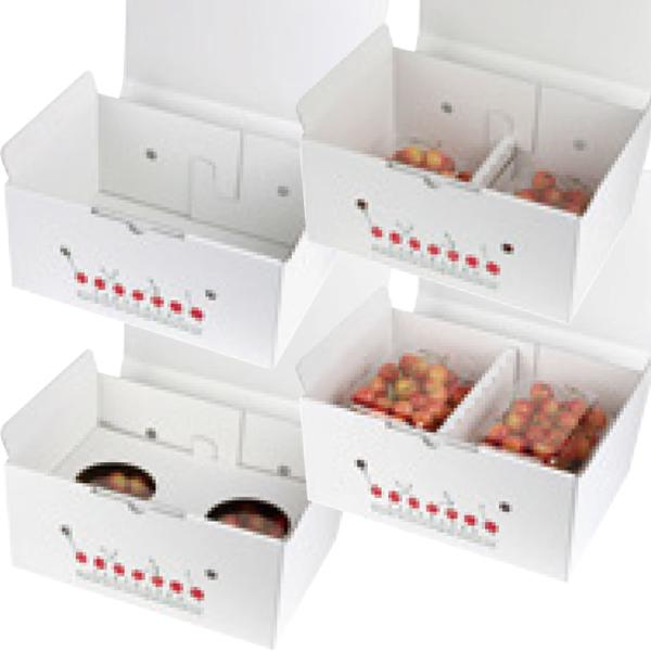 さくらんぼ箱・4P2段）さくらんぼ2段BOX/50枚入（L-2497） : 箱の店