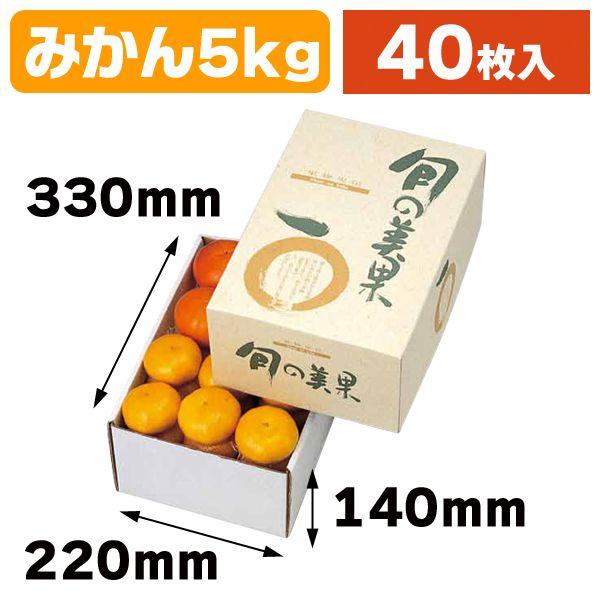 （果物の箱）旬の美果5kg/40枚入（L-341）