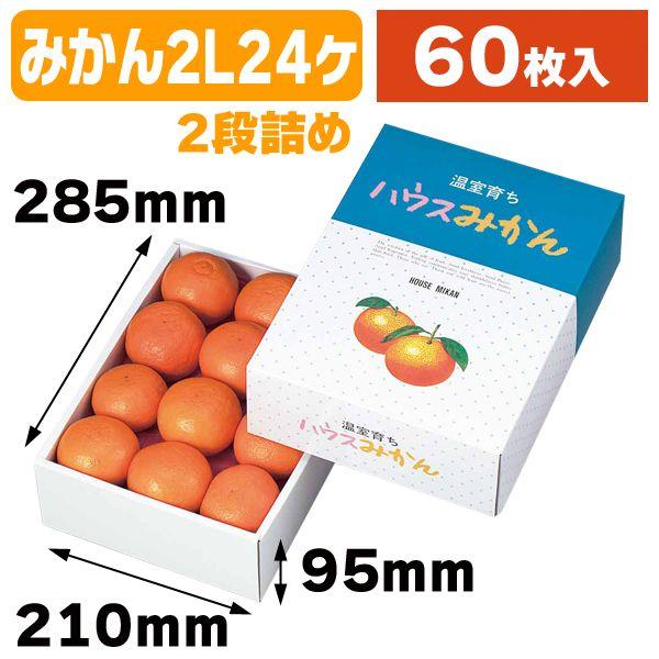 MPGUFH647QJ