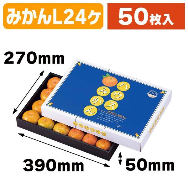 （みかんの箱）ハウスみかん（大）/50枚入（L-468）