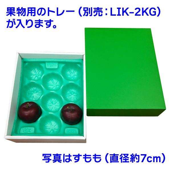 ギフトボックス501 Amazon.com: DaiJoob Gift Box with Lid for Presents 10.5x7.5x3.1