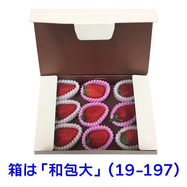 いちご用緩衝材）苺用フルーツキャップ ピンク/2000枚入（LDRN-45P