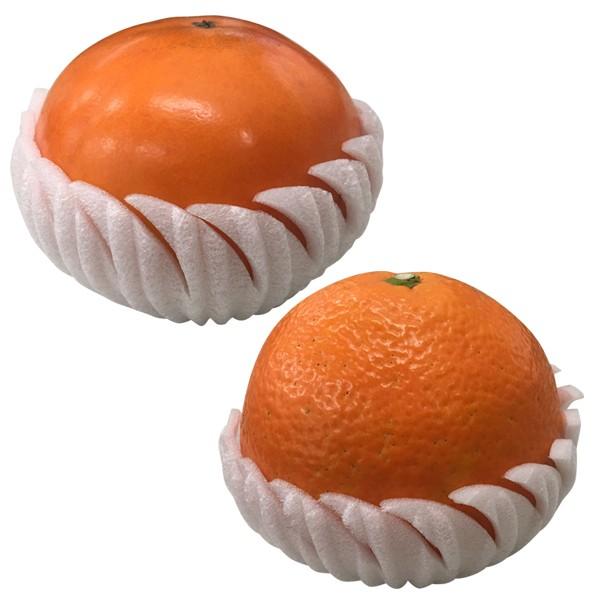 フルーツキャップ）イケックス。パンキャップ φ140/2000枚入（LIK-PC