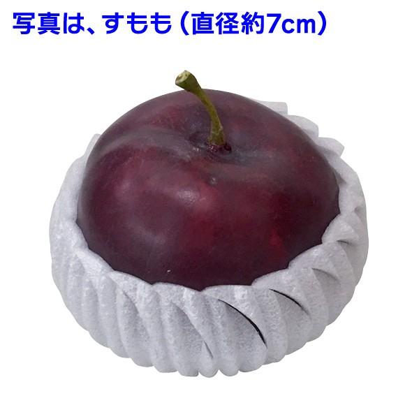 フルーツキャップ）イケックス。パンキャップ φ140/2000枚入（LIK-PC