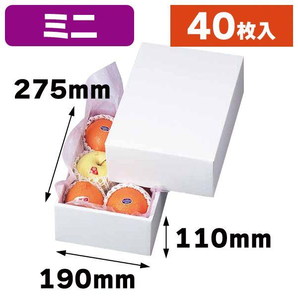 （白無地箱）ホワイト 1/40枚入（LTO-1）