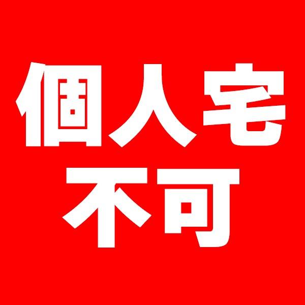 業務用保冷剤 スノーパック200g/400枚入（MIR-20K）の画像