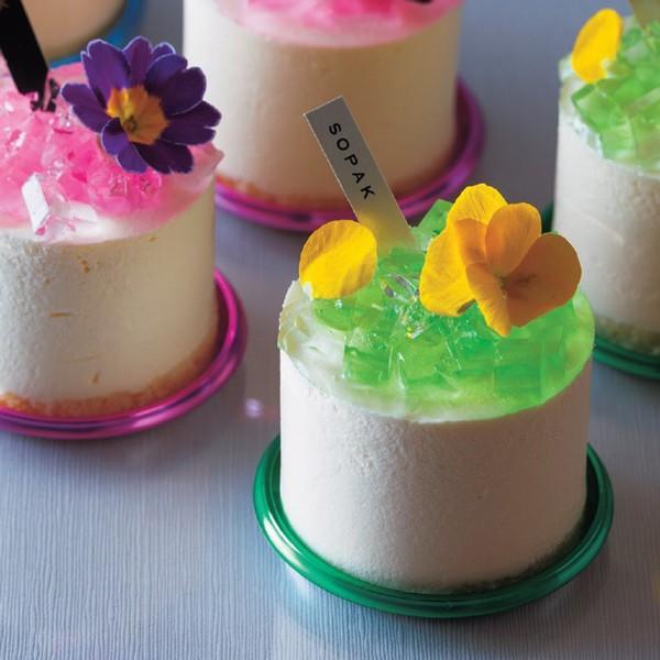 ケーキトレー）SL-60M 全12色/500枚入（SOP-49710-48928） : 箱の店