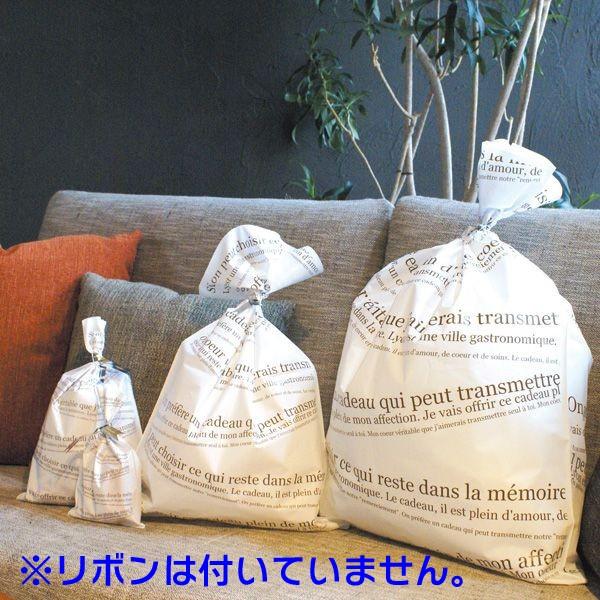 梨地平袋RホワイトM小口/30枚入（YOH-272X）《小口》 : 箱の店 - 通販