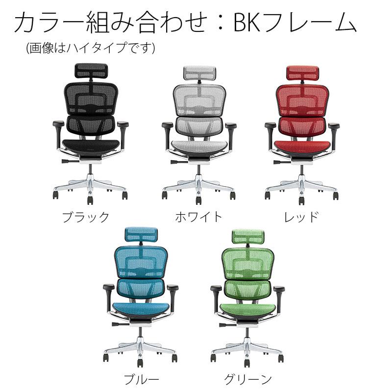 エルゴヒューマン（Ergohuman） 正規品 2025年新型モデル プロ2 