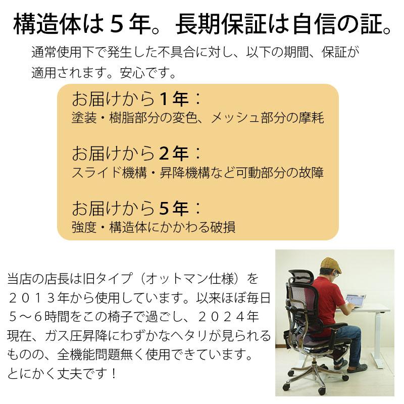 エルゴヒューマン（Ergohuman） 正規品 2025年新型モデル プロ2