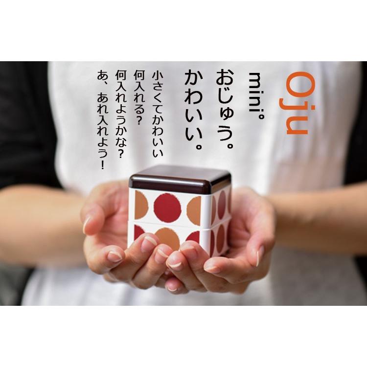 HAKOYA ミニ重箱 ミニお重 角 160ml 渦波 日本製 : ハコヤショップ